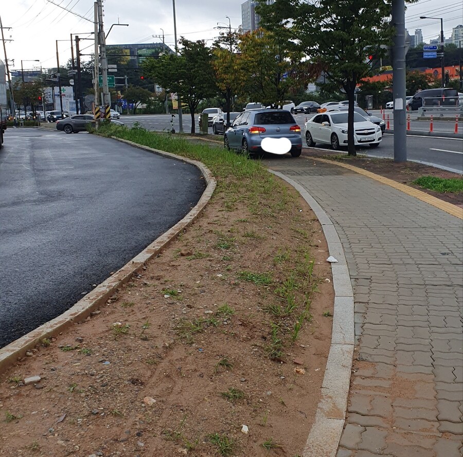 인도 주행하는 ㅁㅊㄴ 봤음_1.jpg