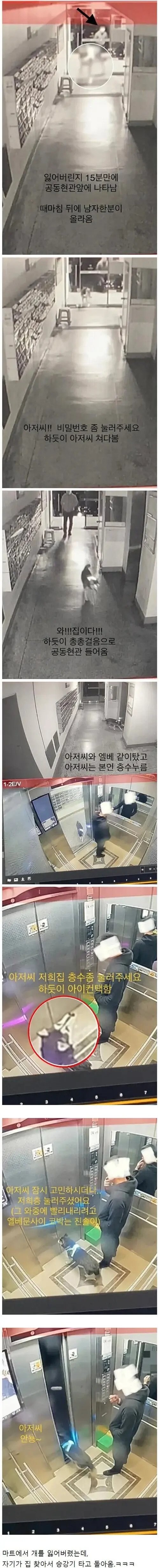 마트에서 개를 잃어버렸다.jpg_2.jpg
