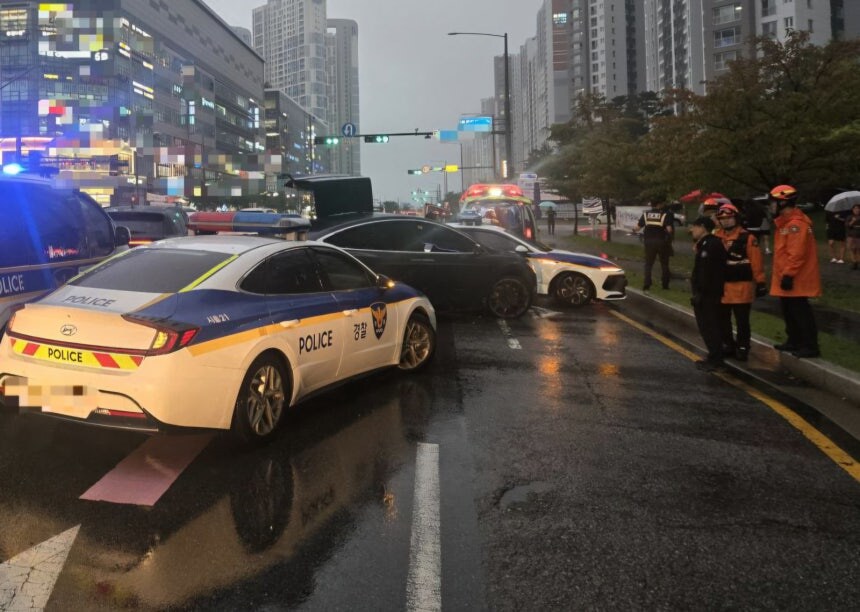 테슬라 훔쳐 달아난 20대 남성…실탄·테이저건 쏴 검거_1.png