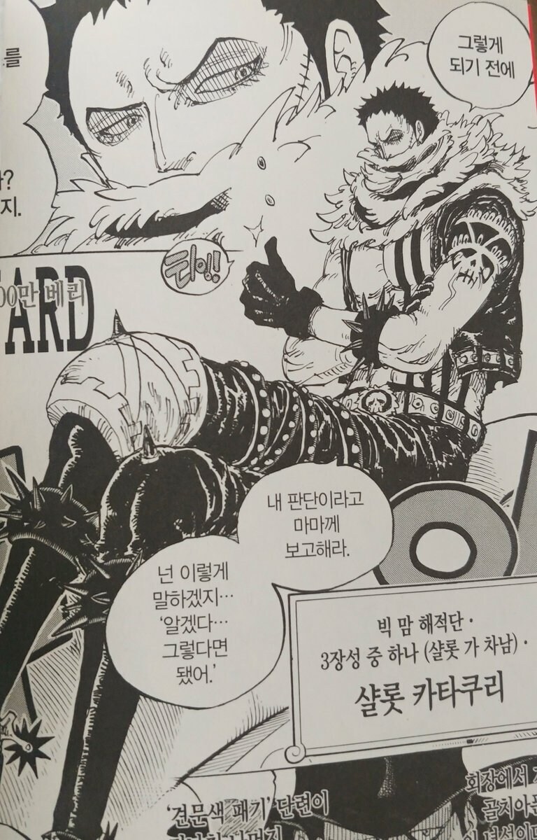 원피스) 한때 카이도 아들썰 돌았던 캐릭터_1.jpg