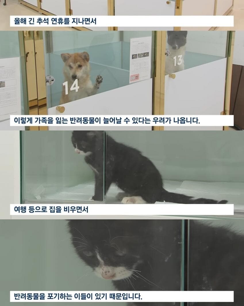 이번 추석에도 반복되는 쓰레기짓_4.jpg