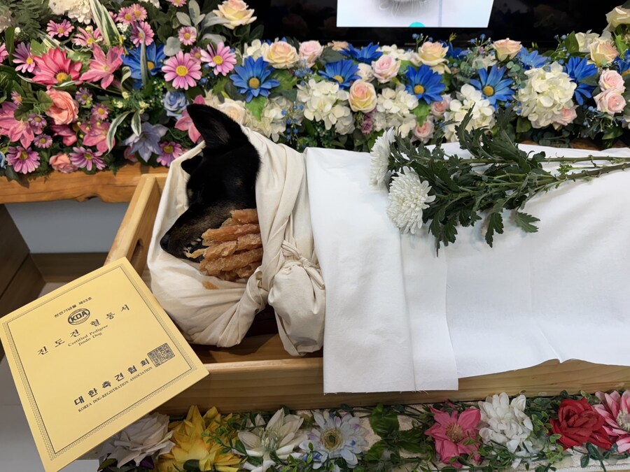 왜 끝까지 함께 해주지도 못할꺼면서_2.jpg