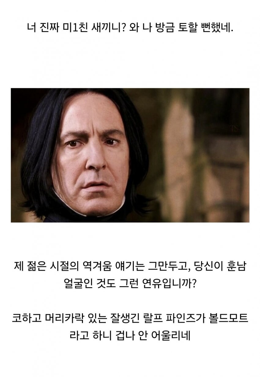볼드모트가 해리 포터 관련 예언을 무시한 세계관_12.jpg