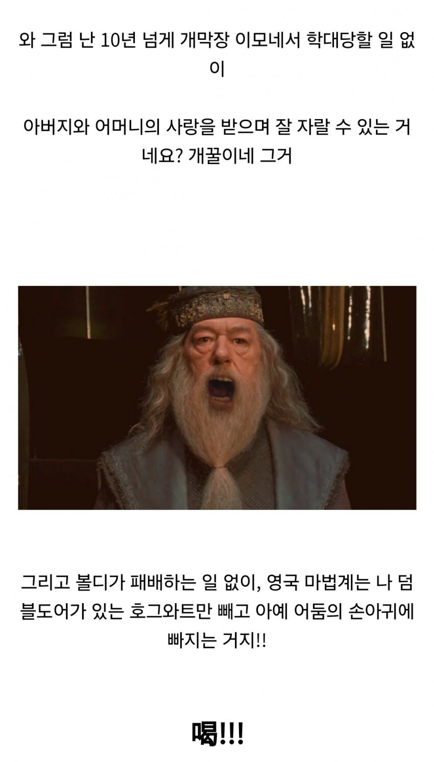 볼드모트가 해리 포터 관련 예언을 무시한 세계관_16.jpg