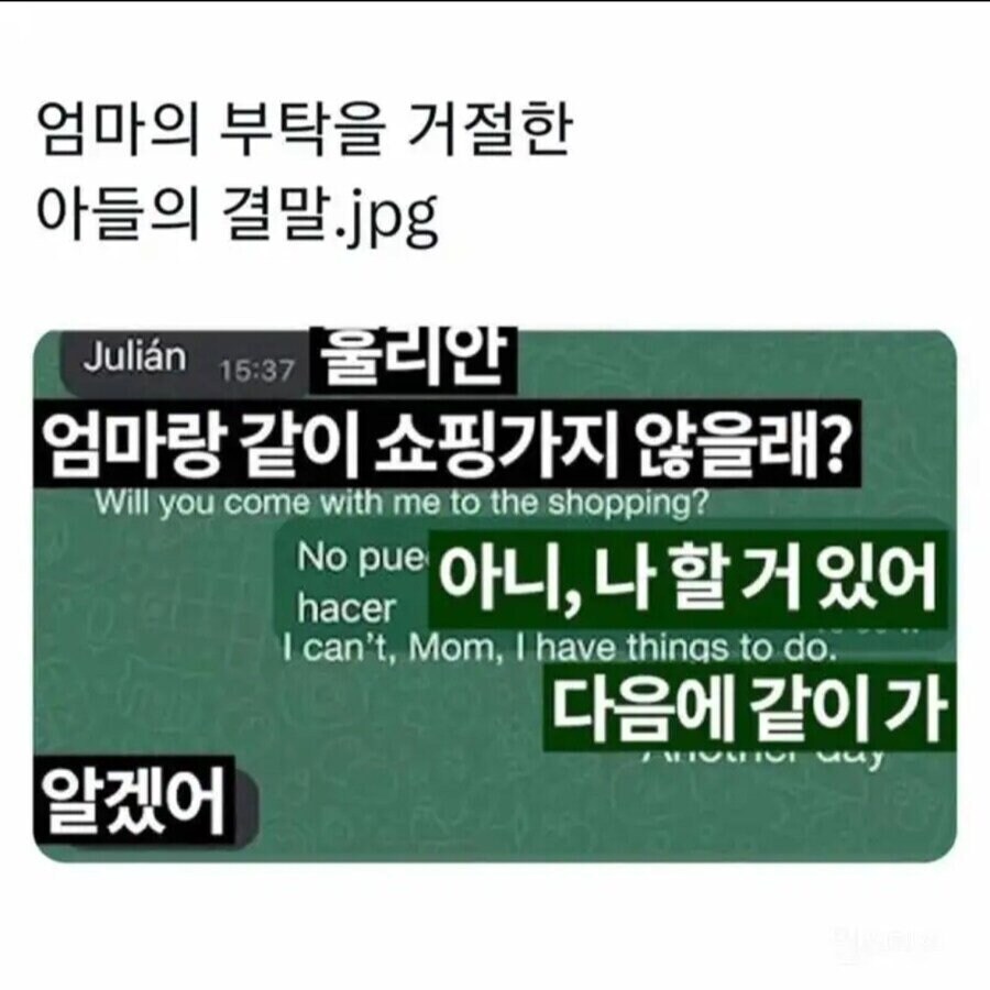 어머니의 이끎을 거절한 대가_1.jpg