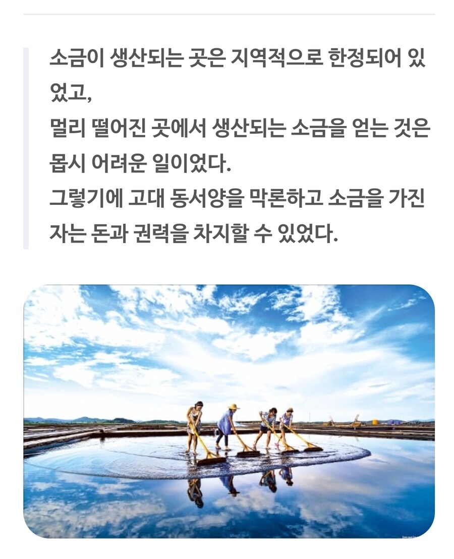 설탕세는 소금전매제 변형판같은데_1.jpg