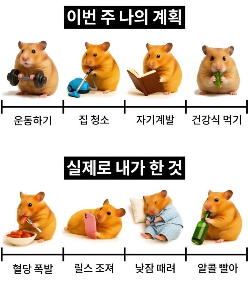 추석연휴동안 세운 계획_1.jpg