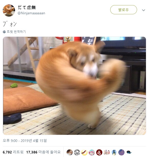 요즘 AI 사진은 이렇게 나오는 구나!_2.png