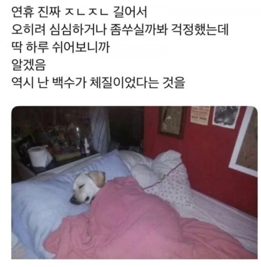 이번 긴 연휴에 알게된것_1.png