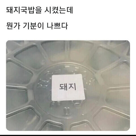 식당에게 조롱받은 느낌_1.jpg