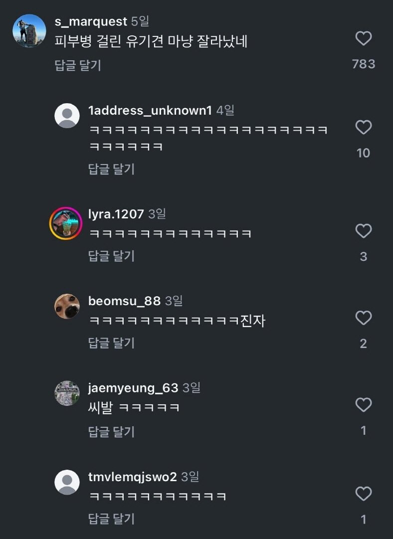 인스타에서 욕많이먹는 미용사 새 영상댓글_1.jpg