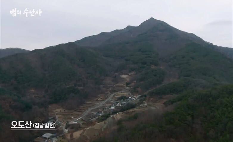 뭔가 기합이 넘치는 산_1.png