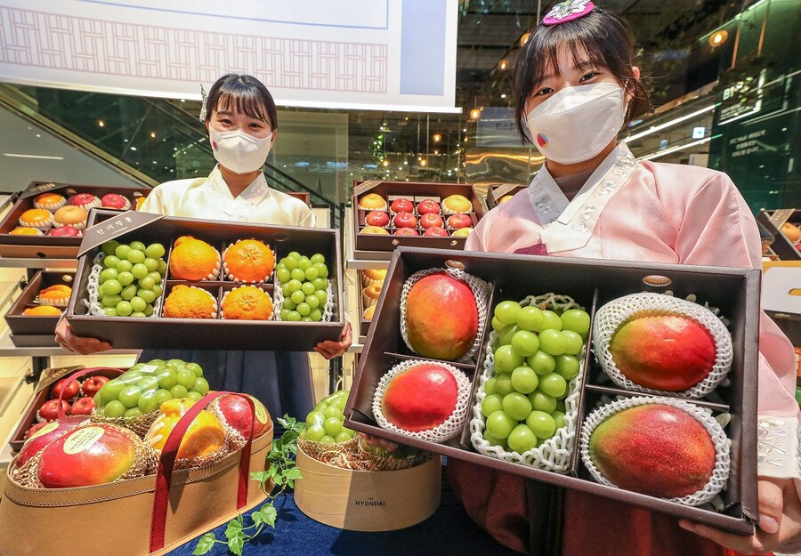 백화점 과일 사라는 이유_1.jpg