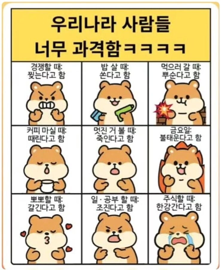 표현이 과격한 한국인들.jpg_1.jpg