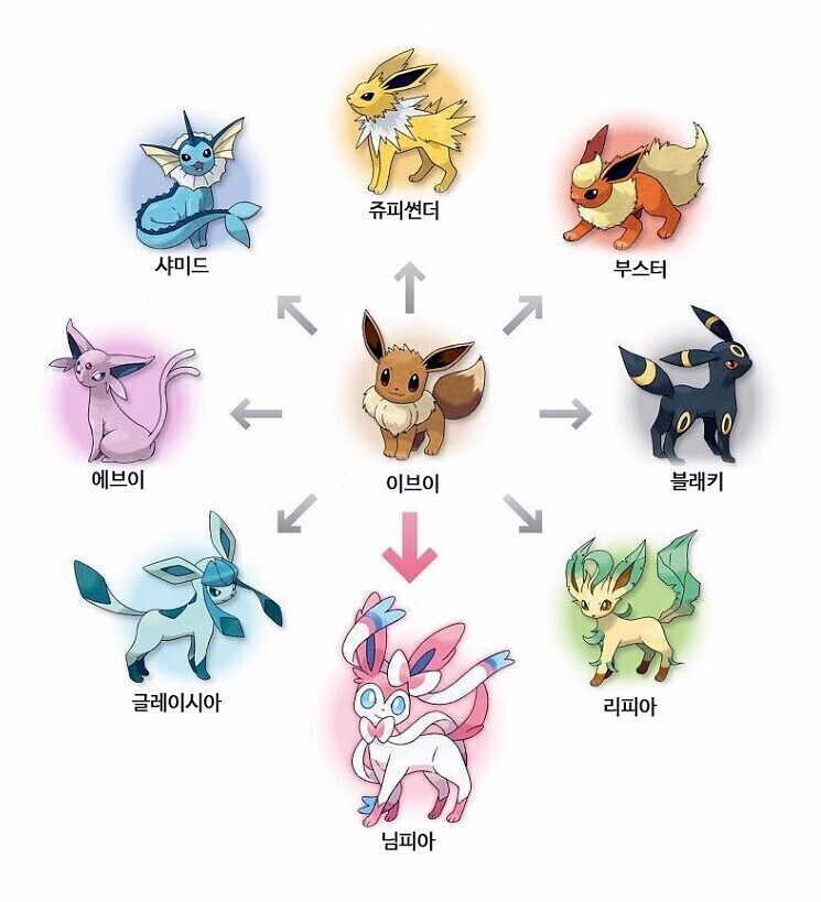 포켓몬?) 한국산 이브이 특.jpg_2.jpg