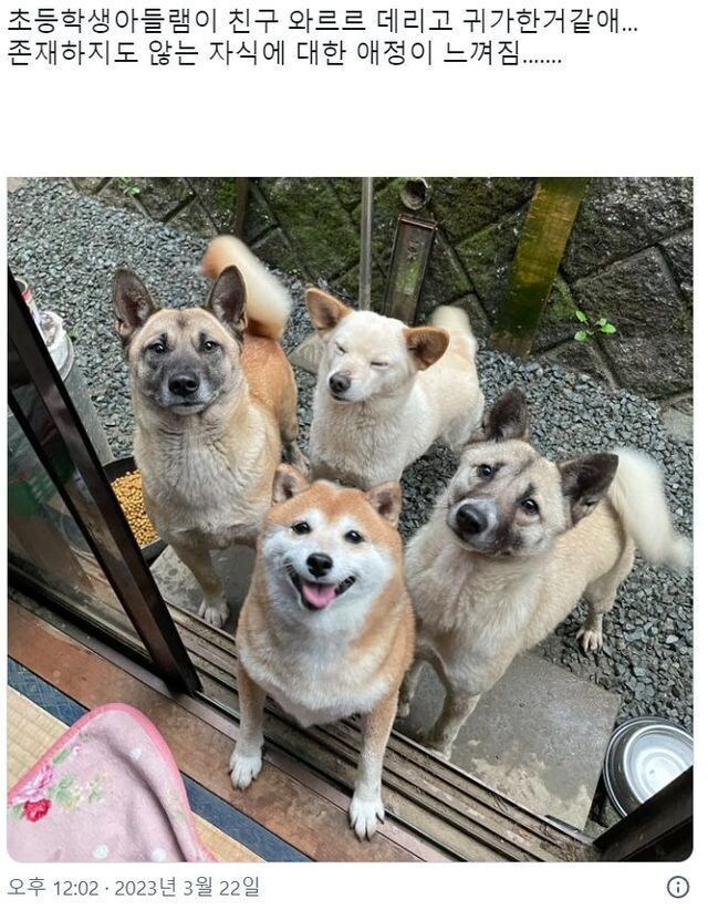 엄마 친구들이랑 집에서놀아도 되영?.jpg_1.jpg