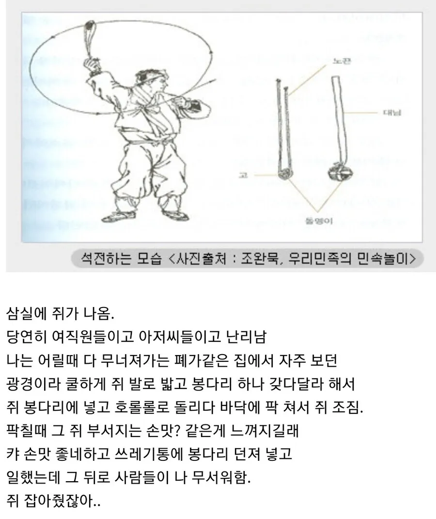 쥐를 잡고 존중 받는 법_1.webp