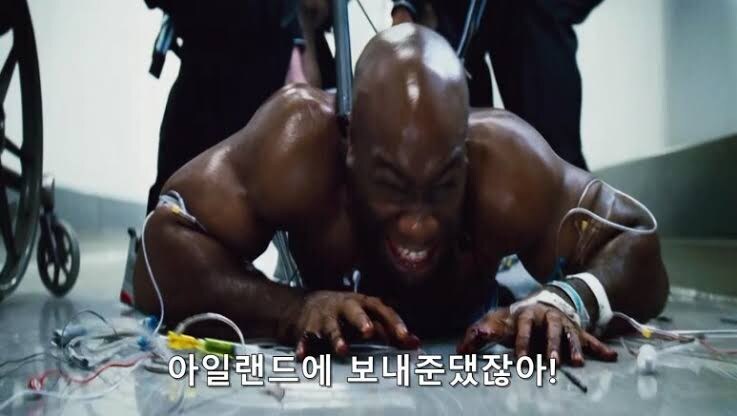 말딸) 희비가 엇갈린 파인모션과 트레이너_1.jpg