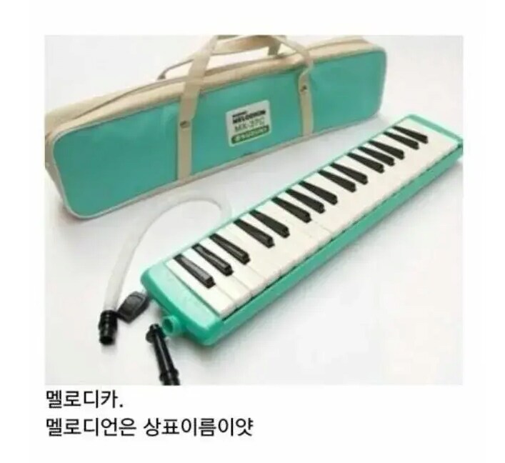 본명을 빼앗겨버렸다는 제품들_4.png