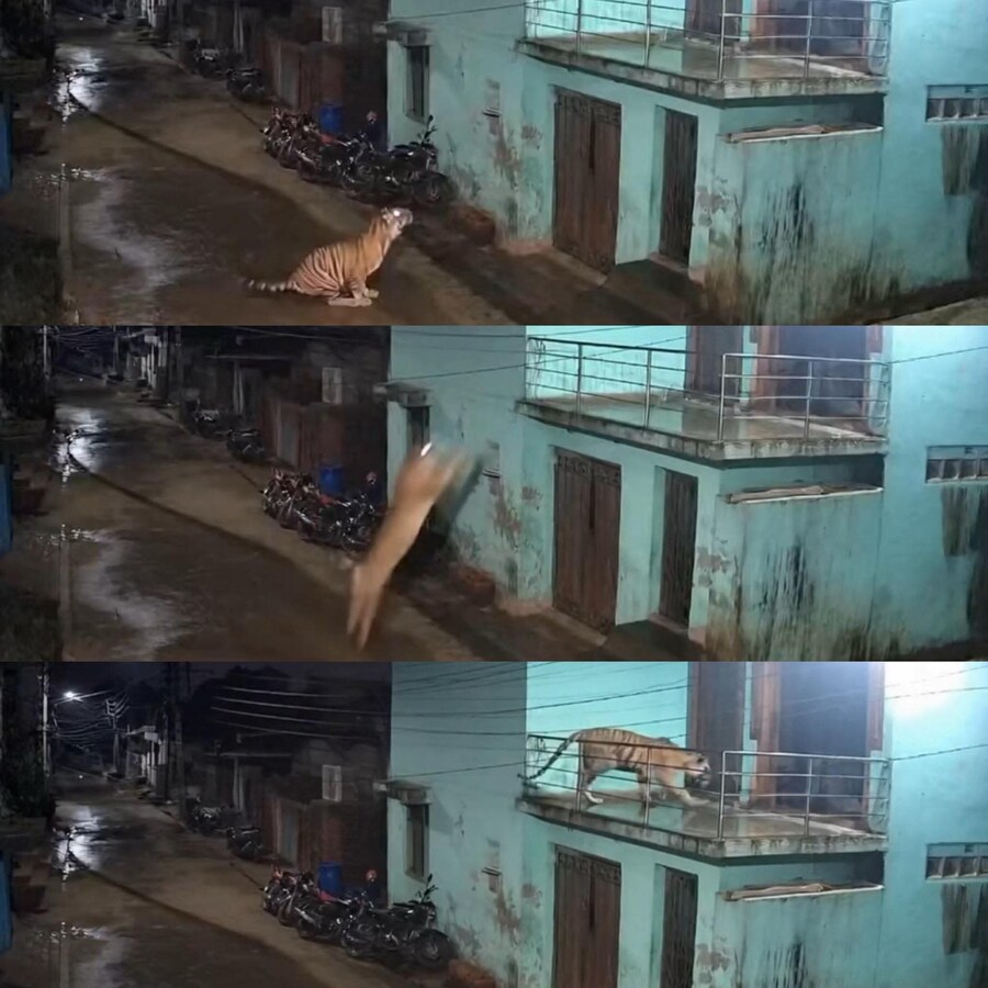 인도에서 문단속을 철저히 해야하는 이유_1.jpg