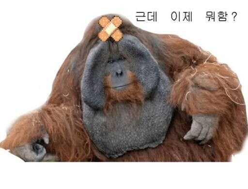 명조)스토리 다보니까 할게 없네_1.jpg