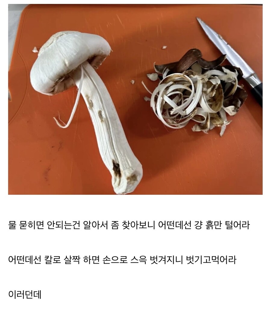 '송이버섯 손질 이렇게하면 안됨?'_2.png