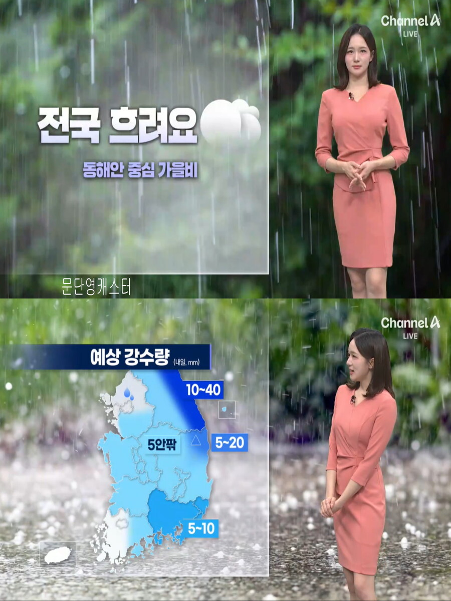 휴일, 흐리고 곳곳 비(짙은 안개, 다음주 초까지 비 계속)_10.jpg