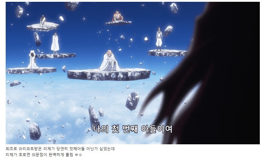 블리치) 애니화로 평가가 완전히 뒤집힌 등장인물 류甲_9.jpg