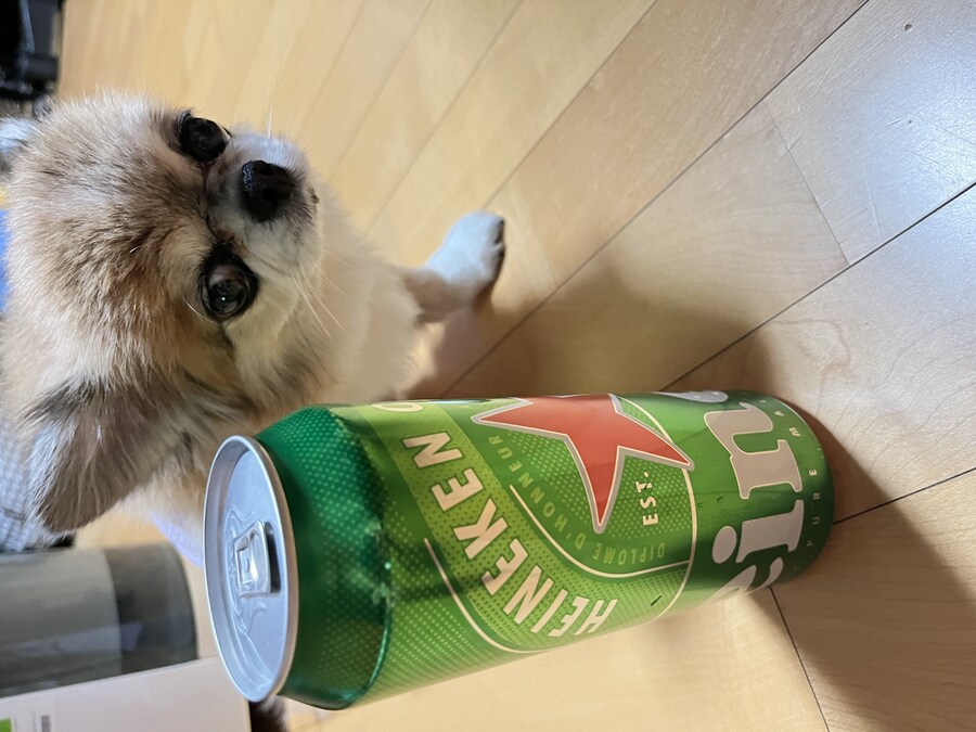 맥주랑 호두_2.jpg