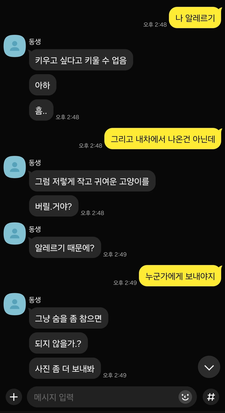 자동차 엔진룸 안에 있던 새끼고양이._3.webp