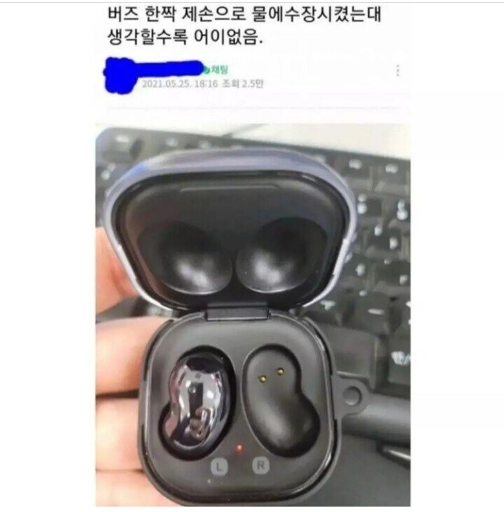 낚시하러 갔다 갤럭시 버즈 잃어버린 사람_1.jpg