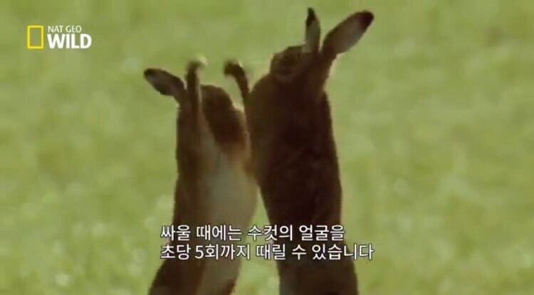 그러고보니 어제 악몽만 꿧음_1.jpg