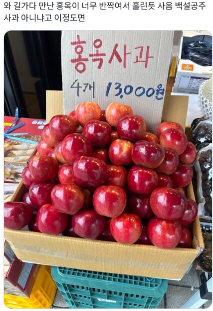 길에서 만난 아름다운 사과_1.png