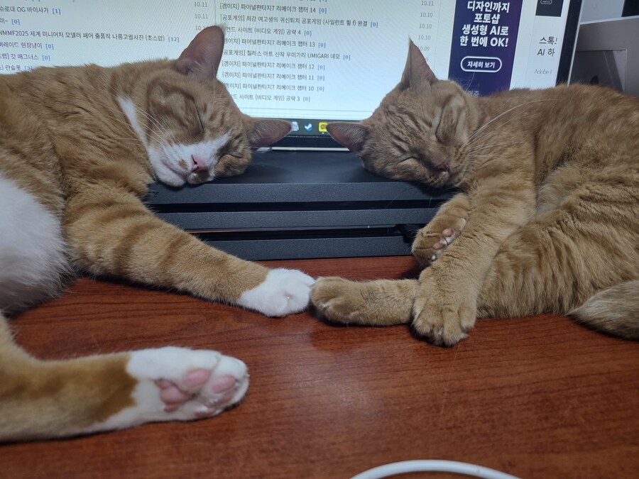 귀염둥이 양복_1.jpg