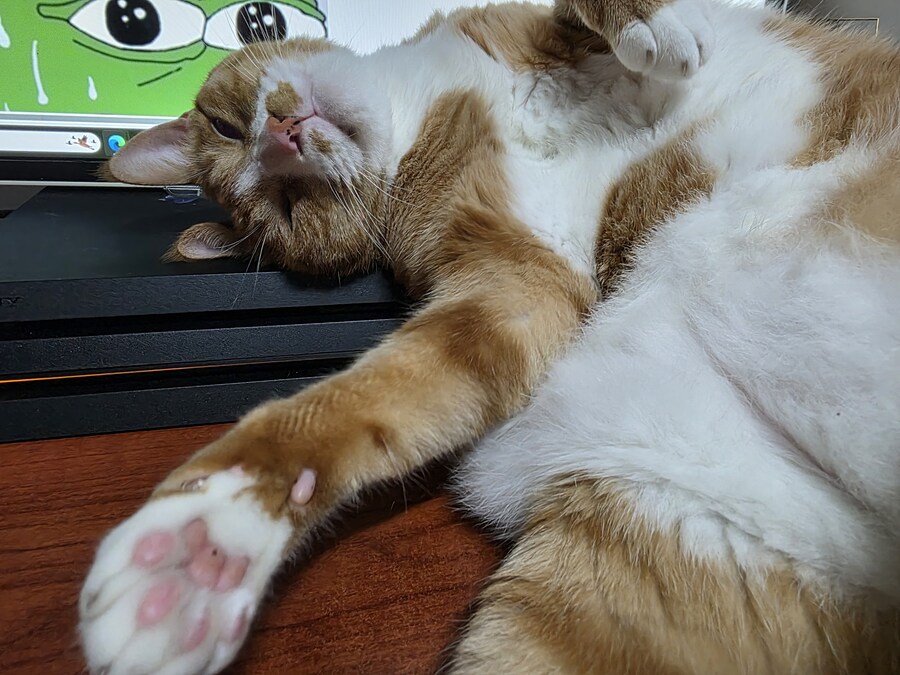 귀염둥이 양복_3.jpg