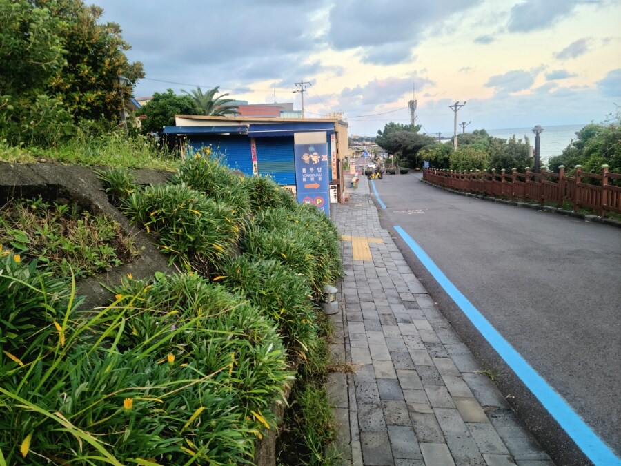 제주 환상 자전거길 234km 도보여행 1일차_8.jpg
