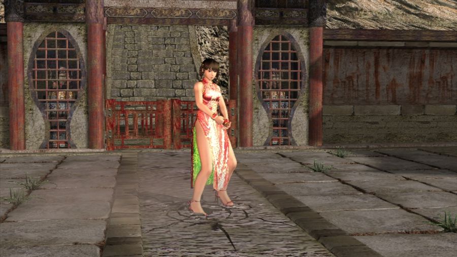 DEAD OR ALIVE 3_3.jpg