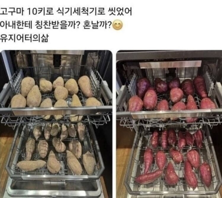 고구마 10kg 세척하고 욕 먹은 남편 ㅠㅠ_1.png