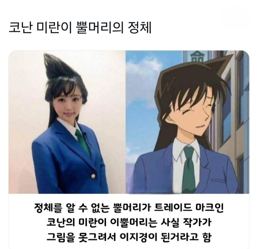 코난) 미란이 뿔에 대한 오해_1.jpg