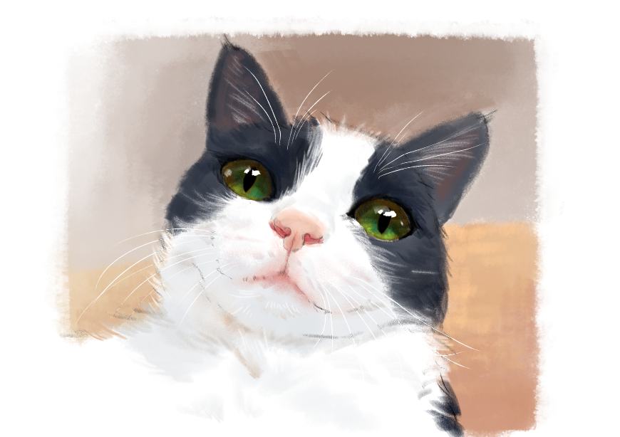 고양이) 넘으집 고양이_1.png