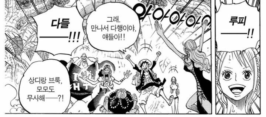 원피스 초반에 가장 맛도리였던 상징물_8.jpg