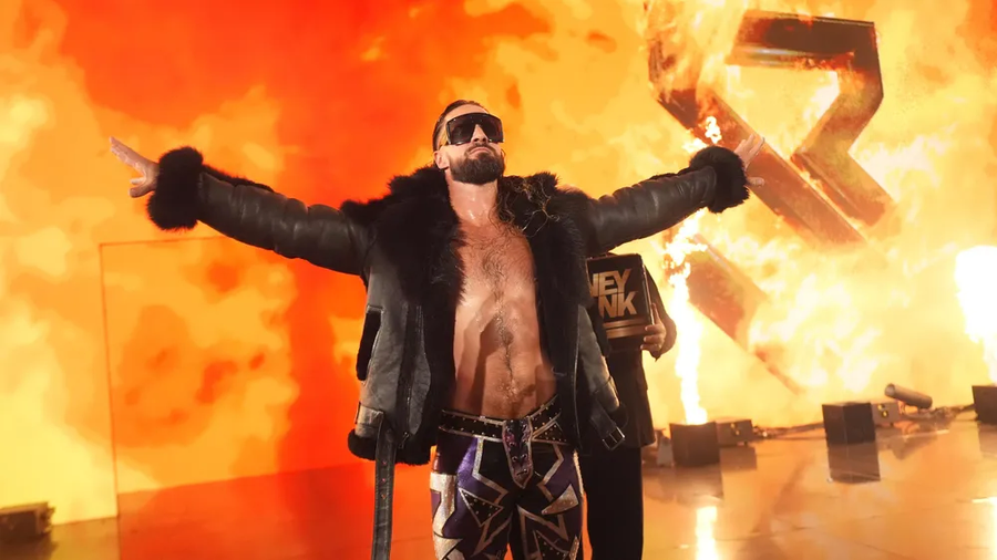 WWE) 한때 WWE의 유망주 소리를 듣던 팀의 근황.jpg_3.webp