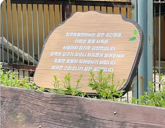 철컹! 이제 당신이 스라소니 입니다_1.png