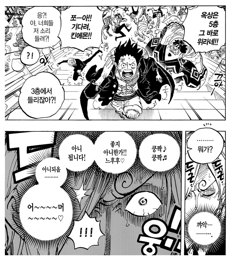 원피스 견문색도 특화가 다양함_2.jpg
