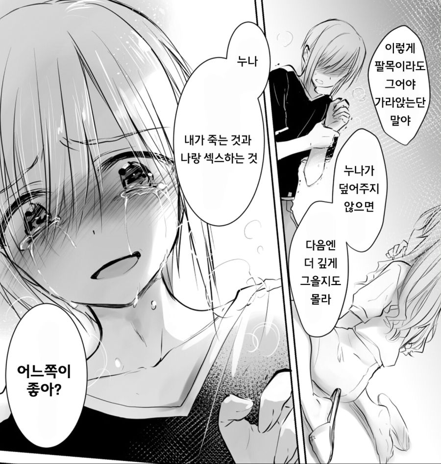 정신나간 동생 만화_1.jpg