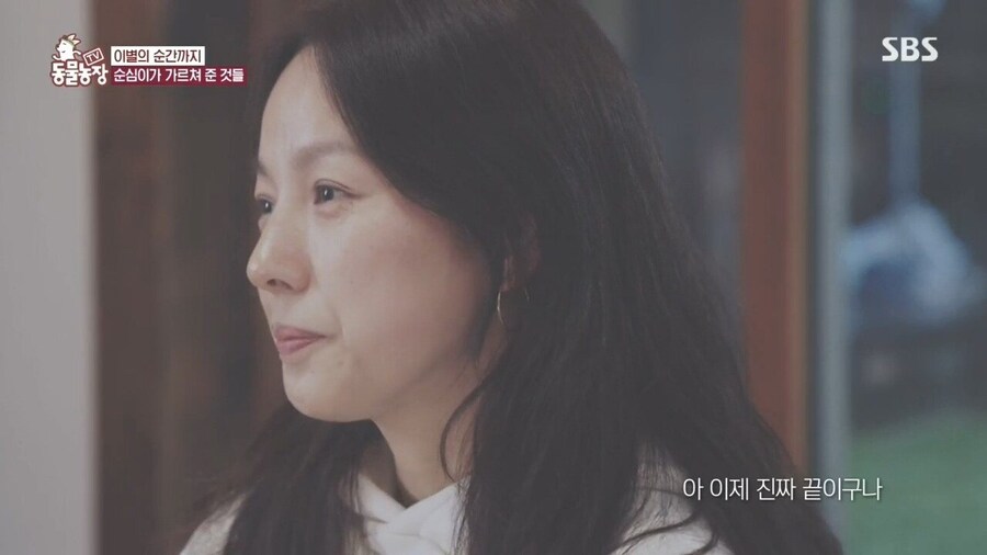 반려견이 곧 떠난다는 걸 직감하는 순간_7.jpg