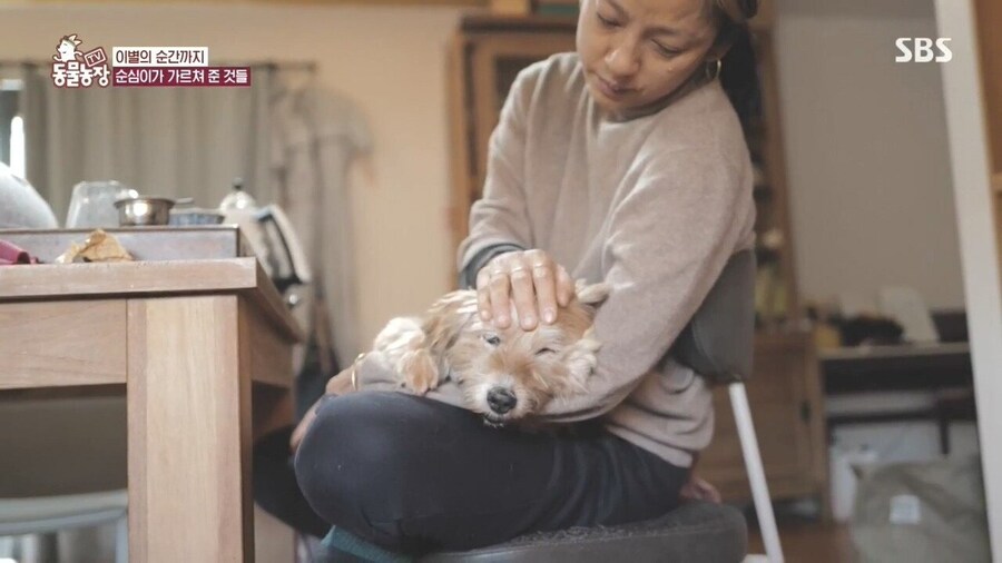 반려견이 곧 떠난다는 걸 직감하는 순간_8.jpg