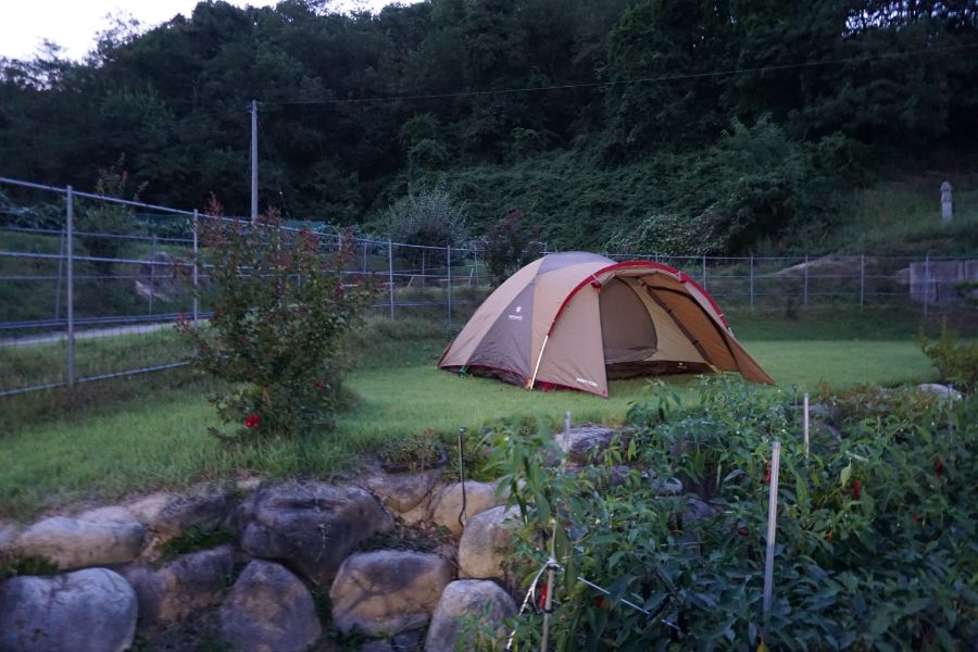 영포티 셋이 모이면... 큰일 납니다._12.jpg