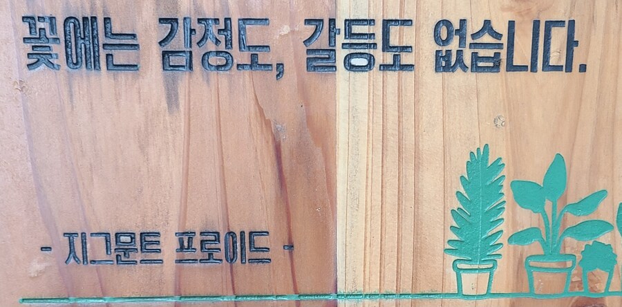 꽃에는 감정도,갈등도 없덴다. 말도 안되는 소리하고 있냐_2.jpg