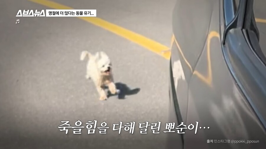 의외로 매년 명절 연휴마다 무너진다는 인류애_13.png